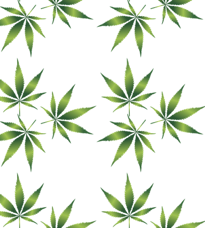 Wskazówki odnoszące się do przyjmowania olejków CBD ze sklepu Max Hemp