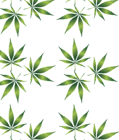 Wskazówki odnoszące się do przyjmowania olejków CBD ze sklepu Max Hemp