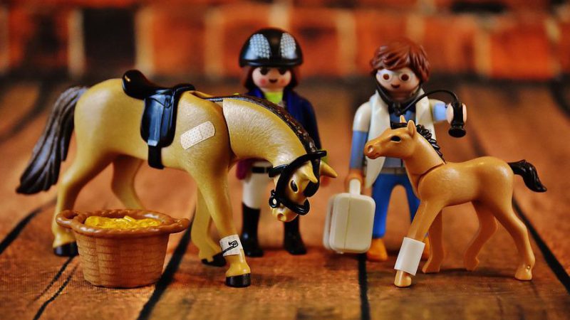 Jak wygląda praca gabinetu weterynaryjnego?